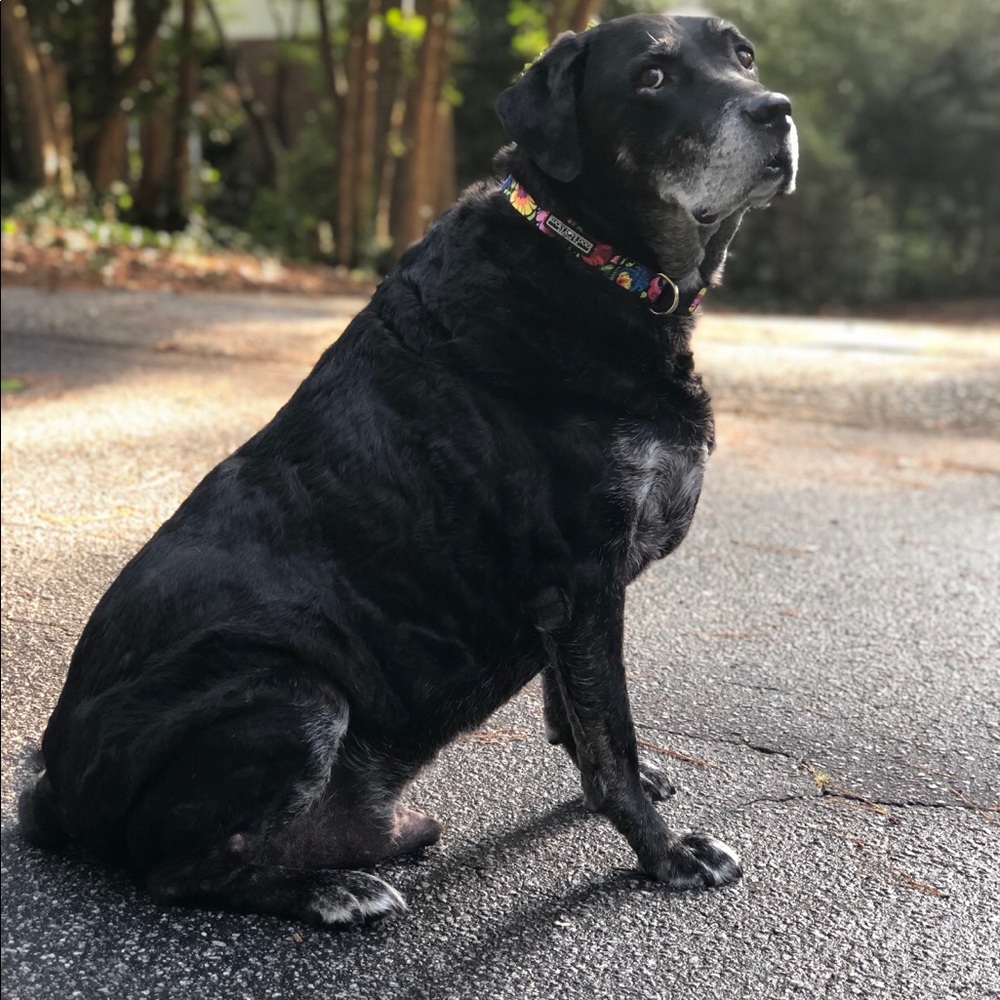 Meet your Posher, Deborah